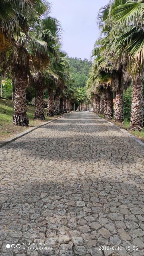 Вілла Quinta Da Vinha Do Souto Арока Екстер'єр фото