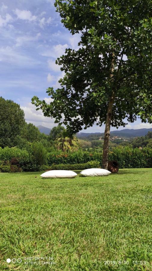 Вілла Quinta Da Vinha Do Souto Арока Екстер'єр фото